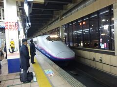 つくばで打ち合わせを済ませて、つくばエクスプレスの南流山駅で武蔵野線に乗り換え、武蔵浦和から埼京線で大宮へ、大宮発17時6分の上越新幹線とき333号で新潟に向かった。