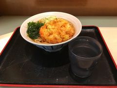 一日たい焼きを食べて過ごそうと思っていたのに、空振り続きでお腹が空いたので、店内が入店時がらがらだった富士そばで天ぷらそばを食べて繋ぎます。