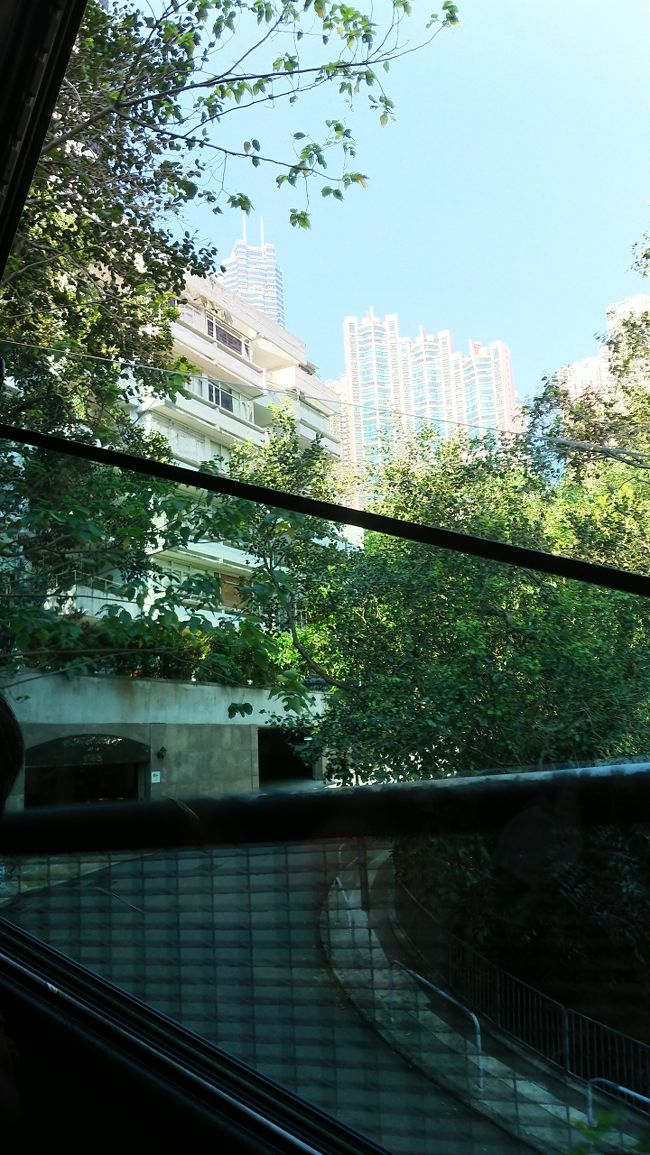 最初はビルの隙間を縫って登っていきます。