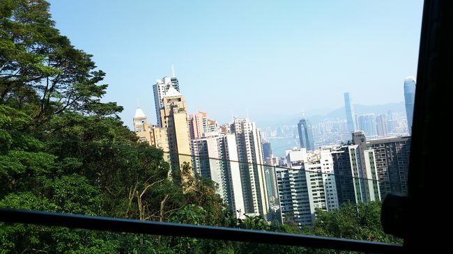 だいぶ高いところに登ってきました！