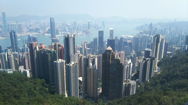 旅行誌などで見る香港の景色が目の前にありました！<br />ビルがにょきにょきと伸びています。