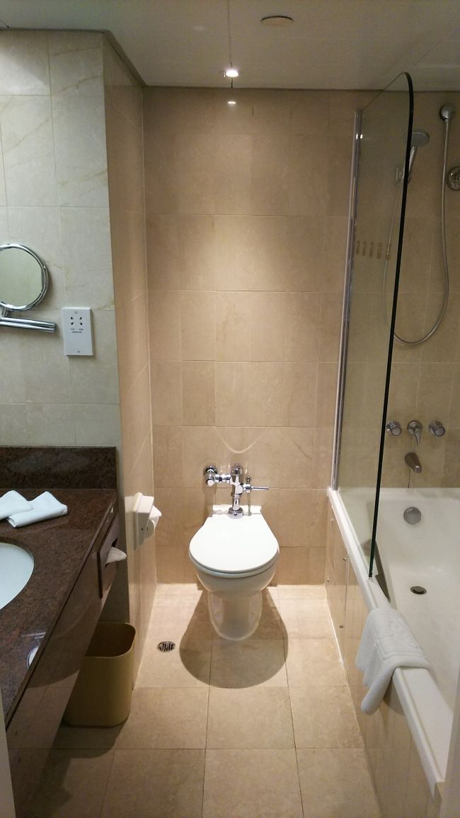 シャワールームも特別広いわけではありませんが、きれいで快適です。