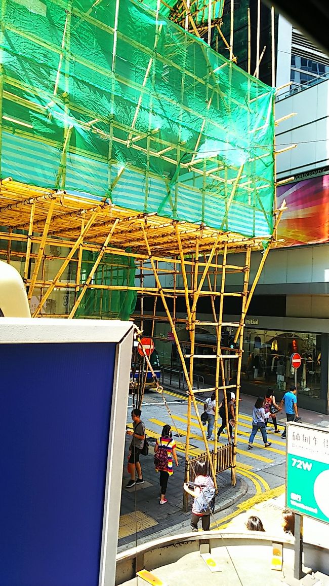 翌朝は竹の足場などを見ながらセントラルへ戻ります。