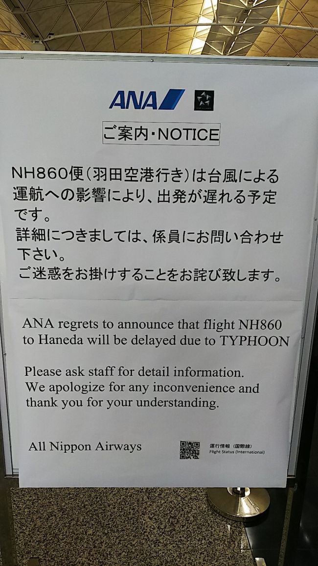 やはり遅れるとのこと！到着予定時刻の羽田空港の風が強いため、天候調査中らしいです。係員に色々と聞くもまだ新しい出発時刻が決まっていないと言われました。<br />あちこちの係員に話しかけ、ANAの係員にも何とか東京に帰りたいと伝えました。