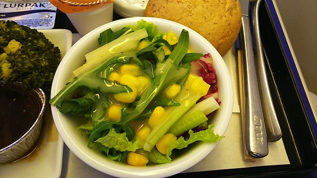 お野菜は冷たくて美味しかったです。