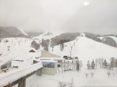 2/12の朝の様子　ホテルの部屋から撮影
締まった雪で滑りやすい