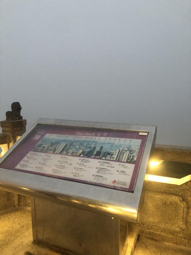 念願の、山頂からの景色は・・