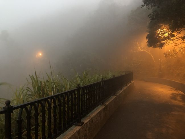 散策道も、こんな感じ。<br />ちょっと歩いたけど、誰もいないしw<br />すぐ戻る。