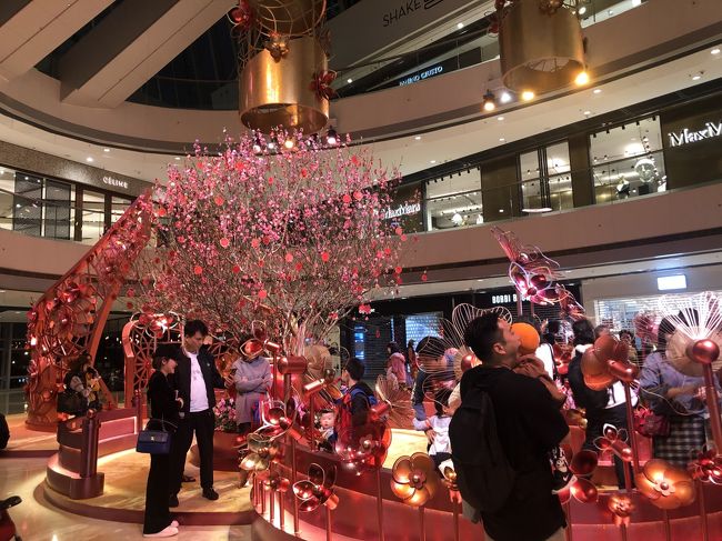 続いてモールへふらふらと<br /><br />どこもかしこも春節モード。<br />この時期に来て、得した気分！<br />別に、観光する上で不便はなかったですし。<br /><br />聞いた話だと、<br />大陸の方々より香港の方は、春節の盛り上がりは控えめとか？