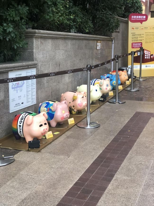 豚さんに出会う