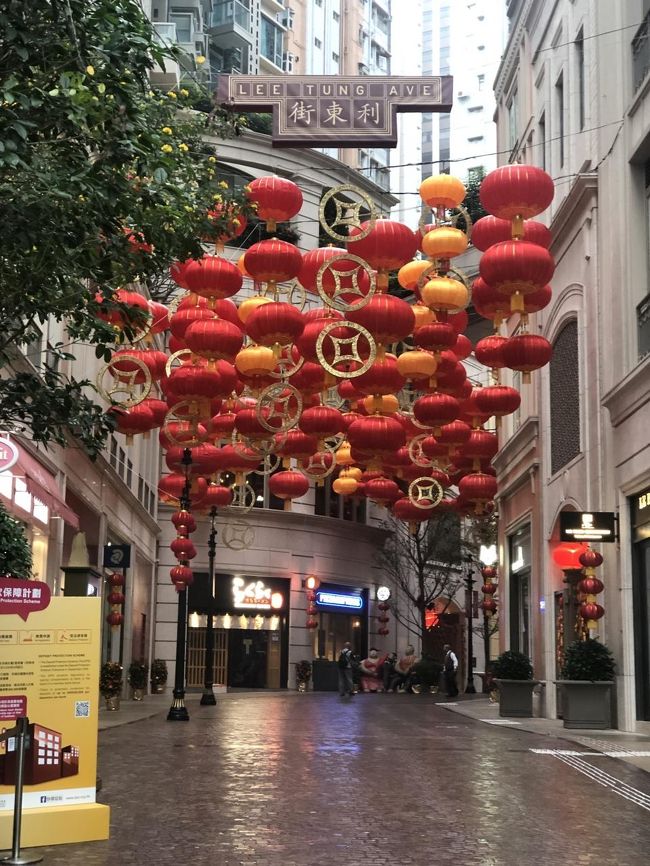 赤いランタン　<br />朝でも華やか