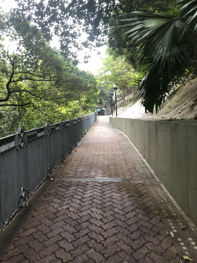 緑を感じながら坂を歩くと