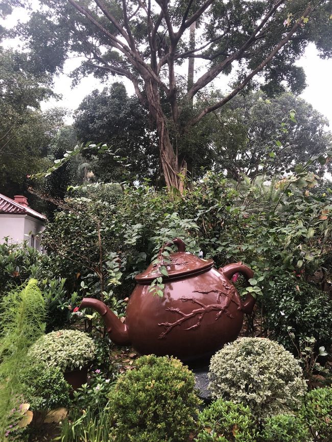 散々、お茶のためのガーデンに大興奮して<br />