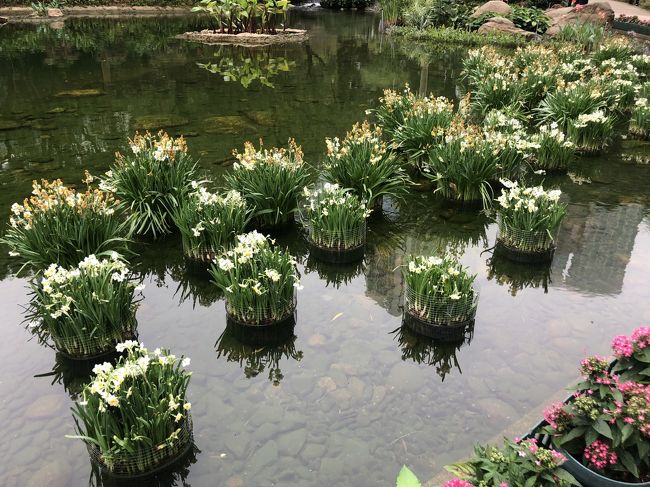 心が安らぎます