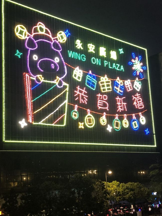 新年を喜ぶ豚？