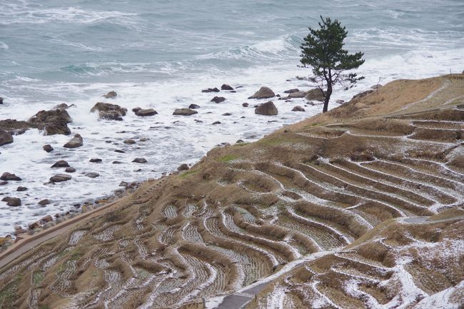 冬の能登半島一周 後編 輪島朝市 禄剛崎 見附島 石川県の旅行記 ブログ By ミズ旅撮る人さん フォートラベル