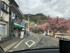 熱海梅園の梅まつりへ

静岡県熱海市梅園町8-11 

2019年1月5日（土）～3月3日（日）
