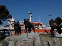 
タロとジロがお出迎え。