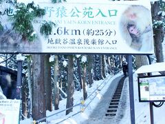 渋温泉は初めて訪れる場所ですが、ここでの有名スポットは
何と言ってもこちらですよね～
お猿さんが温泉に入ることで有名な地獄谷野猿公苑☆彡