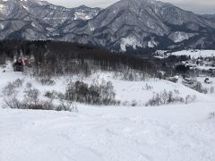 わらび平ゲレンデがいいのです。

とにかく空いていて、滑りやすい。あっという間に降りてしまいますが、初心者や中級者全て満足できるゲレンデです。上級者は上の方から木の間をぬって降りてきます。

最初リフトを降りた所は勾配があったりしますが、途中から広いなだらかなゲレンデを貸し切り状態で滑れます。

土曜でもそれほど混みあいません。白馬乗鞍スキー場との境目になります。