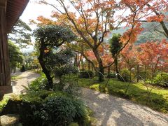 　伊藤玄白旧宅の庭です。仁比山神社参道側のモミジが太陽光線に当り、紅く輝いていました。
　