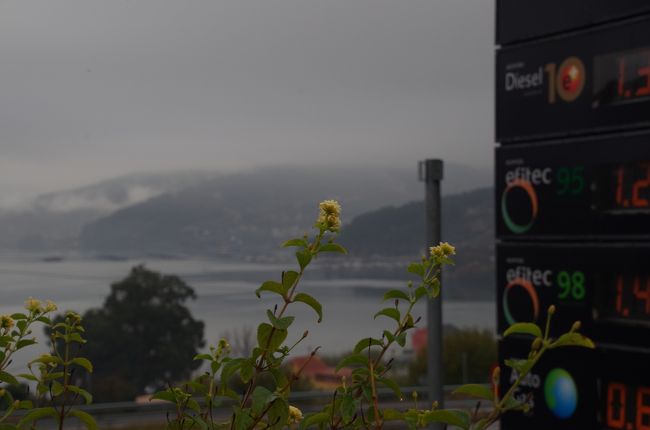 道の駅からの湾の景色。<br />小雨に煙っています。