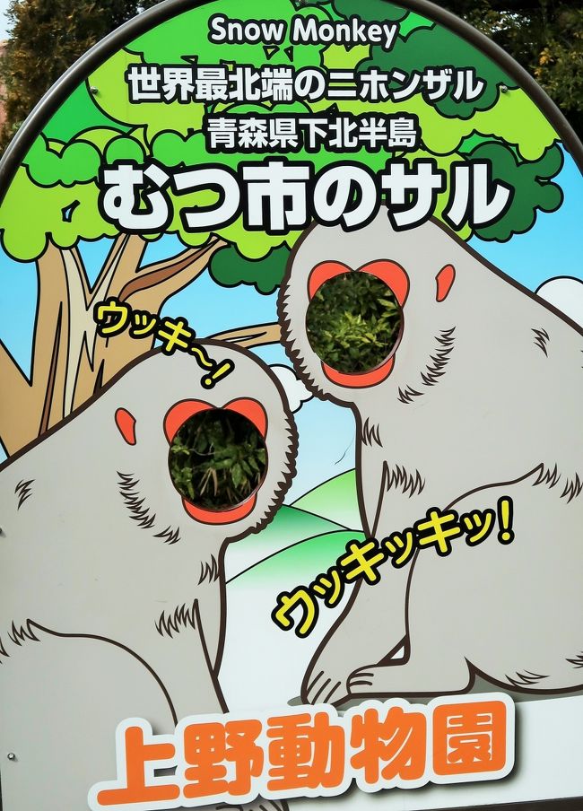 上野動物園-1　ニホンザル　28/　　　10