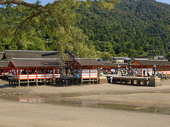 厳島神社も全貌が露になっています。