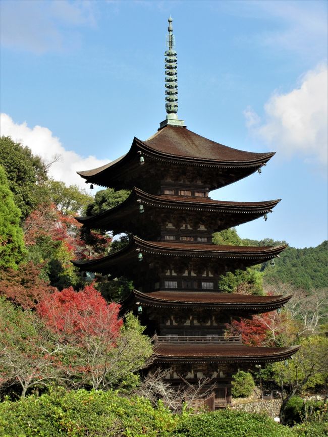 2018年11月 紅葉の山口 その2 瑠璃光寺の五重塔と香山公園 山口市 山口県 の旅行記 ブログ By イロコさん フォートラベル 2018年11月 紅葉の山口 その2 瑠璃光寺の五重塔と香山公園 山口市 山口県 の旅行記 ブログ By イロコさん フォートラベル