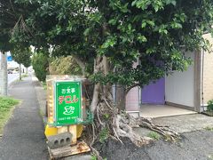 レンタカーを借りて、ランチに喫茶「チロル」へ
ネットで調べて評判がいいのと空港から近いのでチョイス
入口はちょっと入りづらい感じですが、意を決して扉を開けるとそこは普通の喫茶店でした(^_^;)