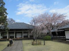 天王寺というお寺の近くまでやってきました。せっかくなので境内へ。