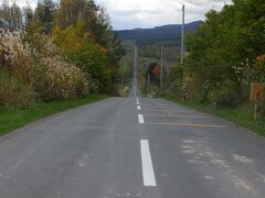 次に【ジェットコースターの路】へやってきました。