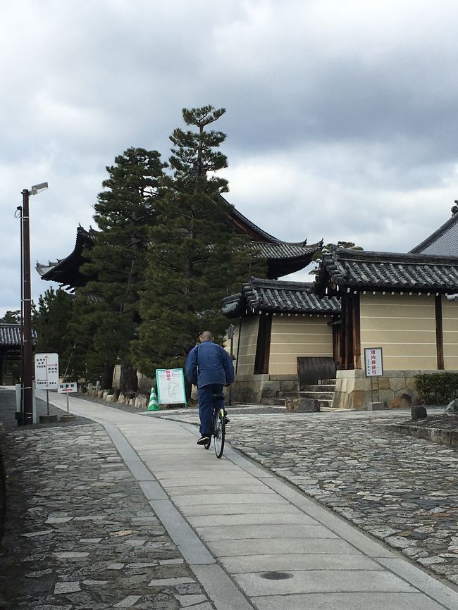 妙 心 寺 自転車