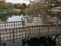 今泉名水桜公園。
今泉遊水池周辺を桜の名所として整備された公園です。
秦野盆地湧水群の中でも最大級の湧水量があるそうです