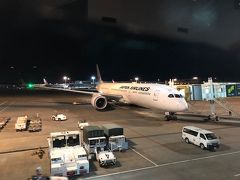 飛行機での移動