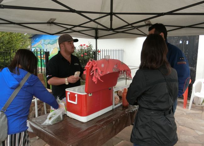 ブリトーの中身は何？？　「○と、△と、豚皮と、フリフォーレスだよ。」<br />へっ？　○と、△ってなに？<br /><br />ここで言い訳。<br />私はスペイン語を話すのですが、メキシコ北部で料理を注文するのは難しかったです。<br />と、いうのも・・、日本で例えると、「どんなお蕎麦がありますか？」という私の質問に、「きつねと月見とわかめがあるよ」という答えが返ってくるようなものなのです。<br />えええ～、「きつね」と「月見」って食べ物なの？　<br />→「お揚げ、卵、わかめ」と言って欲しい。（揚げた豆腐、生卵、ならより判り易い。）<br /><br />tanupamさん撮影