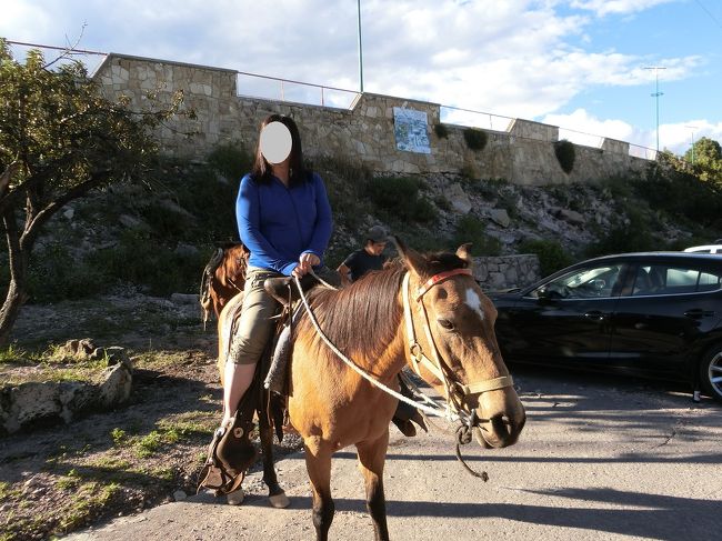 と、いうことで、全く鐙が使えないまま外乗スタートです。<br />眺めの良い場所へ行ことのこと。<br />途中、流れのある河も渡って、松などの疎林の中の林道をぽこぽこ歩いていきます。<br />周囲は森林公園のような所で、山小屋のような休憩所？売店？もあり、近隣の人達の憩いの場所になっているようでした。<br /><br />tanupamさん撮影