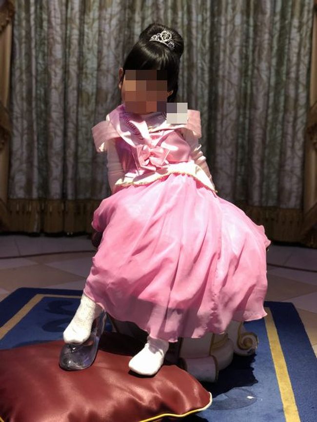 5歳のプリンセスと行く2月の東京ディズニーランド一泊二日 東京ディズニーリゾート 千葉県 の旅行記 ブログ By のりぞうさん フォートラベル