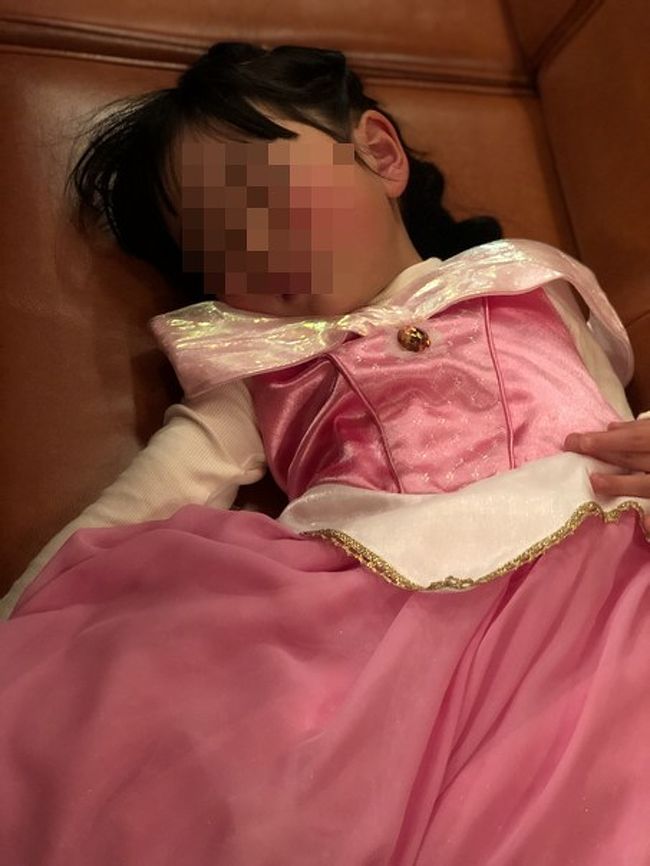 5歳のプリンセスと行く2月の東京ディズニーランド一泊二日 東京ディズニーリゾート 千葉県 の旅行記 ブログ By のりぞうさん フォートラベル
