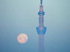 19年02月20日06時37分

真夜中に満月を迎えました。
20日の月齢は15.6
出来るだけスカイツリーと満月が近づくのを待っていましたが、下の方に霧(霞？)がかかっていて月が見えにくくなってきました。これが限度かな？
東京スカイツリーイーストタワーに光の線がくっきり！朝陽が反射しました。
