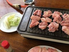 お昼は、たらいうどんのお店に
やきとり(2人前から)とあったので頼んだらすごい量
しかも、串に刺さったやきとりを想像したら、焼き鶏でした
タレが美味しくて、ペロリと完食