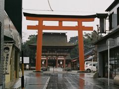 津島神社の鳥居。