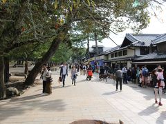 中門からお土産物屋にかけて
メンバーが外国人にインタビューしていた。
この日も外国人の方が多いくらいいた。