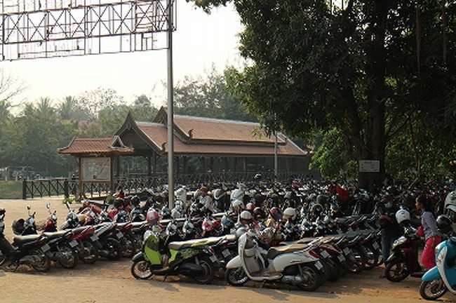 出発まで近辺を街歩き。まずは市場を目指す。<br />市場の横を流れるシェムリアップ川沿いにおびただしい数のバイクが駐輪されている。整然と並べられている姿に驚く。東南アジアらしくないと言ったら失礼だろうか。