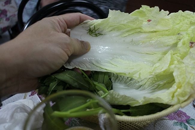 チムチョムに白菜投入。白菜は日本でも冬の野菜扱いだから、ここバンコクではコストの高い温度調節が可能な農場でしか作れないはず。このローカルレストランがどうやって安価に手に入れるのだろう。<br />チムチョムを堪能してホテルに向かう。