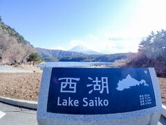 西湖にもよりました。富士山がはっきり見えました