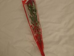 3:00am
お部屋に帰ってきました。

このバラ…
お友達を見送る時に少年が花を売りに。
お友達がサッとお支払い&そして「For you」って。可愛い上になんてスマートな対応(。>д<)

深夜に少年が花を売っていることと、人が来ない時はホテルの中で休んでいる(高級ホテルのセキュリティって?)ことに、???何とも、、、

でももう思考回路も限界、お化粧落として、寝ましょう。
マレーシア6日目&クアラルンプール3日目、終了