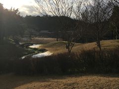 永平寺は清い空間という感じ。清さって見えないのに伝わるんだ、って思いました。お坊さんたちが修行する空間に紛れ込んで、少し清くなれたかな。なれないかな。

バスで爆睡も気持ちいいんだよなあ。あっという間に福井駅に着きました。そこから金沢方面の電車に乗り、大聖寺で降り、石川県九谷焼美術館へ。
駅から10分位だったかな。

写真は美術館の庭。
この写真には写ってませんが、大きな鳥さんがいました。
九谷焼の展示は思ったより少なかったですが、企画展、特別展の準備中だったので、そちらも見れてたらちょうどいいボリュームだったかも。料金は企画展の時も変わらない（500円)そうです。
2階のカフェが居心地良くて…。まったりしちゃいました。
泡コーヒーとチーズケーキ、美味しかった。白っぽい椿をトレイに添える風流。
肝心なものの写真をよく撮り忘れます。

大聖寺は他にも観光しようと思えばいろいろあるみたいですが、駅に戻ってから改札で案内のパンフレットを見つけたので、何も見ませんでした。

大聖寺の待合室に、昔読んだ漫画など見つけたので、読んで時間をつぶします。
金沢駅行きの電車で、金沢に着いた時は日が暮れてました。6時か7時くらいだったかな。
