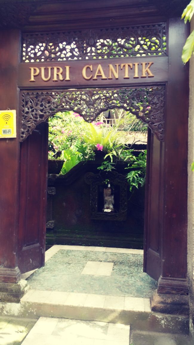 今日で11日間お世話になったお宿とお別れです。<br /><br />Ibu Dewiにはハンドメイドのヘアオイルを分けてもらったり、Bapak Agungには靴ずれした時の薬を貸してもらえたり...<br /><br />家族とまではいかないけれど良くしてくれました。<br /><br />朝食も併設のカフェのお料理もとっても美味しくて(´౿`)♡<br /><br />お部屋も快適だったしまた泊まりたいお宿でした( *ˊᵕˋ)ɢᵒᵒᵈ<br /><br />マイナスな点は料金の割に、水は初めのボトル1本だけで、補充もなければ空になっても、新しいボトルはありませんでした。<br /><br />ウェルカムドリンクもウェルカムフルーツもありません。<br /><br />カフェの敷地のオープンキッチンに、ウォーターサーバーがあったけど、それ使っていいのかダメなのか、聞かなかったけど補充出来たら良かったなと。<br /><br />毎回近くのミニマートで水買ってました。