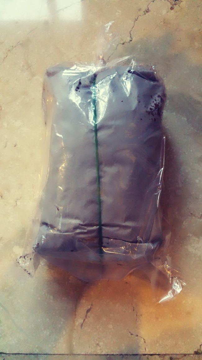 お別れの時にいただいたバリコピ☕<br /><br />ここのバリコピすごく美味しかったから超感激(๓´˘`๓)‎